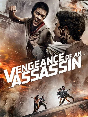 Vengeance of an Assassin (2014) subtitles