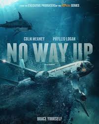 No Way Up (2024) Korean Subtitle