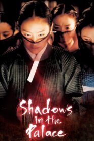 Shadows in the Palace Korean subtitle