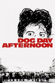 Dog Day Afternoon (1975) Korean Subtitle