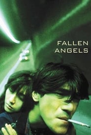 Fallen Angels (1995) Korean Subtitle