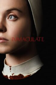 Immaculate (2024) Korean Subtitle