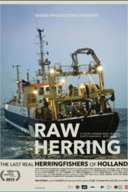 Raw Herring (2013) Korean Subtitle