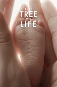 The Tree of Life (2011) Korean Subtitle