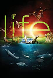 Life Malay Subtitle – (Complete Season In One Place)