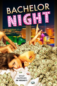 Bachelor Night (2014) Malay Subtitle