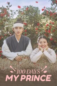 100 Days My Prince Malay Subtitle