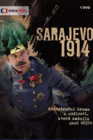 Sarajevo Spanish Subtitle
