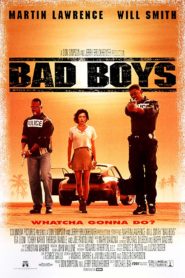 Bad Boys (1995) Spanish Subtitle