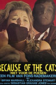Because of the Cats (1973) Spanish Subtitle