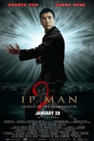 Ip Man 2 Spanish Subtitle