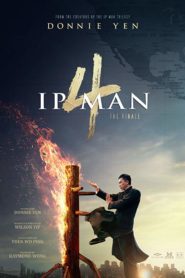 Ip Man 4: The Finale Spanish Subtitle
