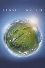 Planet Earth II Spanish Subtitle Of All Seasons in One Place