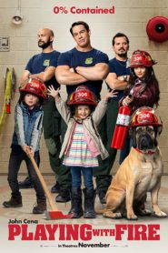 Playing with Fire (2019) Spanish Subtitle