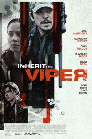 Inherit the Viper (2019) Spanish Subtitle