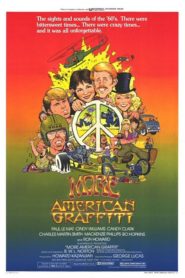 More American Graffiti (1979) Spanish Subtitle