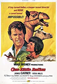 One Little Indian (1973) Spanish Subtitle