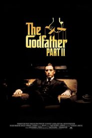 The Godfather: Part II (1974) Spanish Subtitle