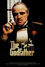 The Godfather (1972) Spanish Subtitle