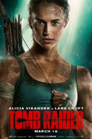 Tomb Raider (2018) Spanish Subtitle