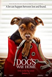 A Dog’s Way Home (2019) Spanish Subtitle
