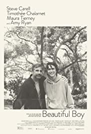 Beautiful Boy (2018) Spanish Subtitle