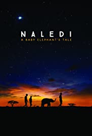 Naledi: A Baby Elephant’s Tale (2016) Spanish Subtitle