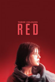 Three Colors: Red (1994) Spanish Subtitle