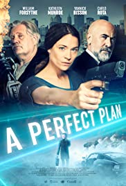 A Perfect Plan (2020) Spanish Subtitle