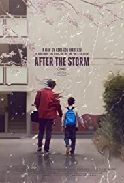 After the Storm (2016) Spanish Subtitle