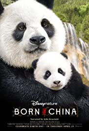 Born in China (2016) Spanish Subtitle