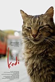 Kedi (2016) Spanish Subtitle