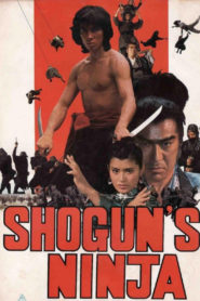 Ninja bugeicho momochi sandayu (1980) Spanish Subtitle