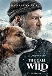 The Call of the Wild (2020) Spanish Subtitle