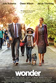 Wonder (2017) Spanish Subtitle
