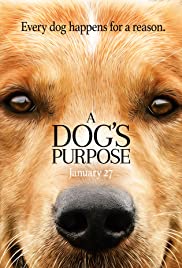 A Dog’s Purpose (2017) Spanish Subtitle