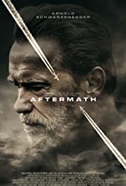Aftermath (2017) Spanish Subtitle