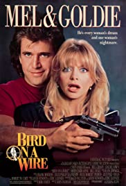 Bird on a Wire (1990) Spanish Subtitle