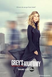 Greys Anatomy Spanish Subtitle (Season 01-16 All Episode)