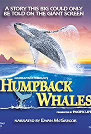 Humpback Whales (2015) Spanish Subtitle