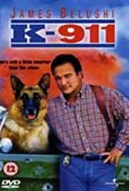 K-911 (1999) Spanish Subtitle