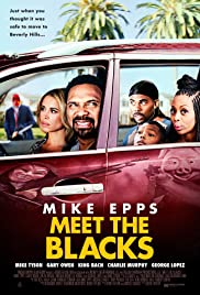 Meet the Blacks (2016) Spanish Subtitle