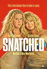 Snatched (2017) Spanish Subtitle