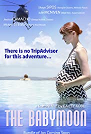 The Babymoon (2017) Spanish Subtitle