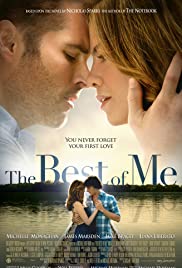 The Best of Me (2014) Spanish Subtitle