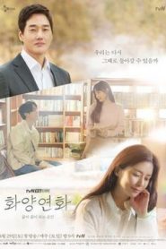 When My Love Blooms Spanish Subtitle- All Episode Of Season 01