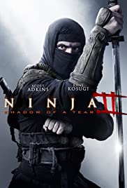 Ninja: Shadow of a Tear (2013) Spanish Subtitle