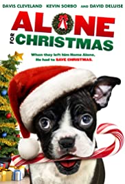 Alone for Christmas (2013) Spanish Subtitle