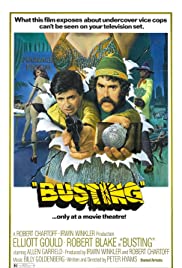 Busting (1974) Spanish Subtitle