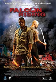 Falcon Rising (2014) Spanish Subtitle